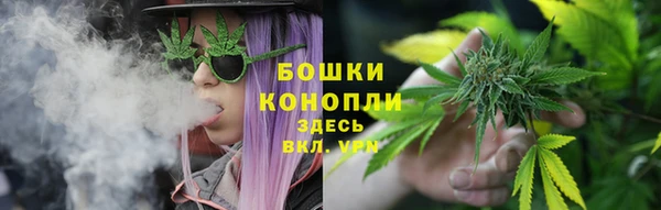ГАЛЛЮЦИНОГЕННЫЕ ГРИБЫ Волосово
