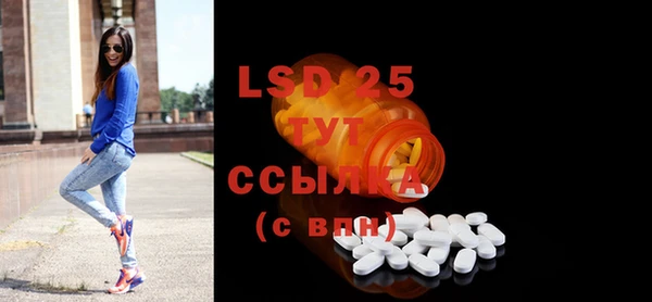 прущие грибы Бородино