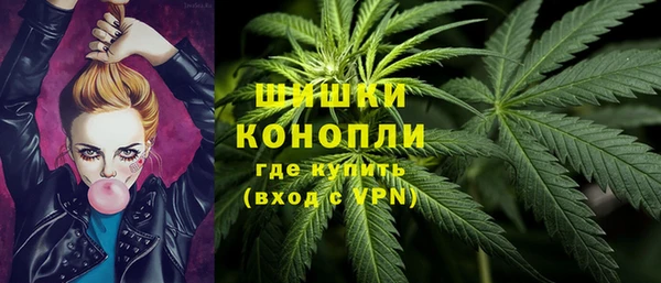 ГАЛЛЮЦИНОГЕННЫЕ ГРИБЫ Волосово